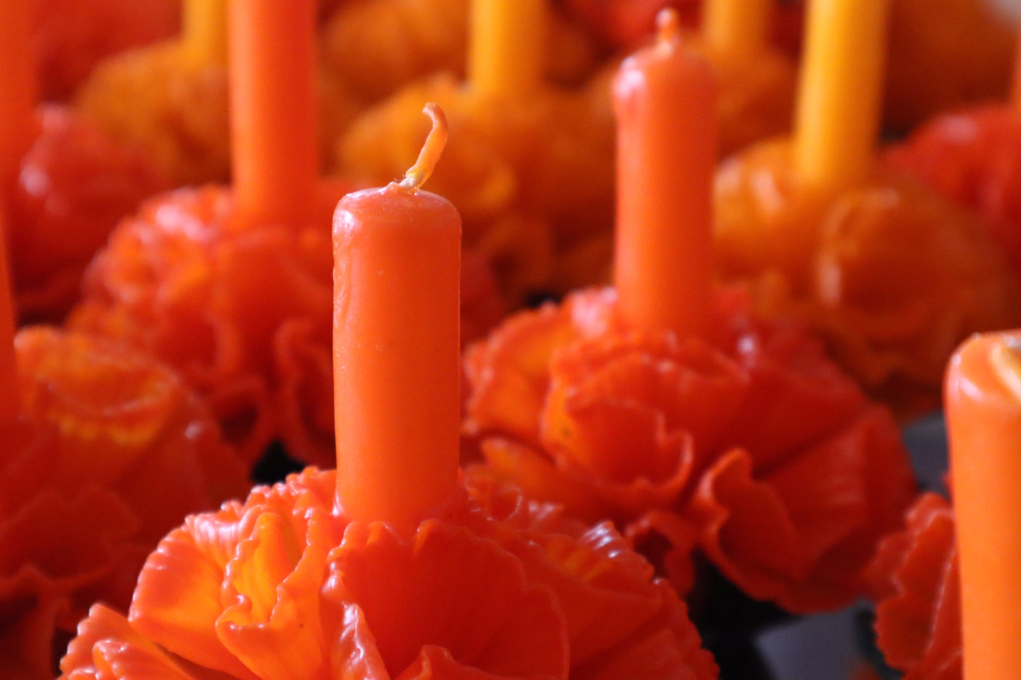 “Fuego de flores”